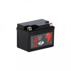 Batterie moto Landport  LP...